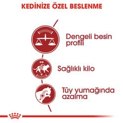 Royal Canin Fit 32 Kuru Kedi Mamasi 10 Kg  görsel 3