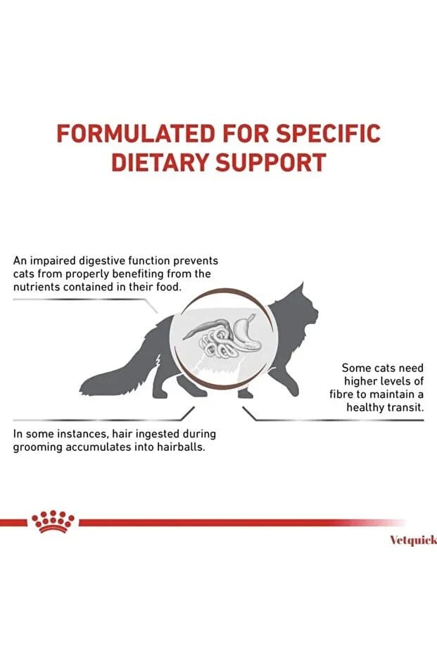 Royal Canin Veterinary Gastrointestinal Hairball sinndirim hassiyeti&tüy yumağı Kedi Maması 4 Kg görsel 2