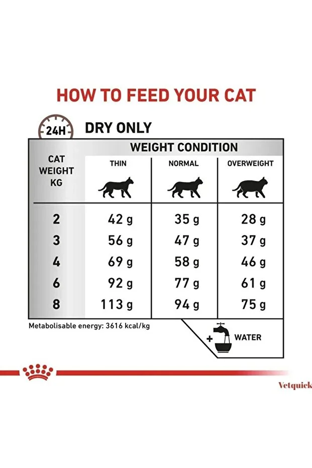 Royal Canin Veterinary Gastrointestinal Hairball sinndirim hassiyeti&tüy yumağı Kedi Maması 4 Kg görsel 4