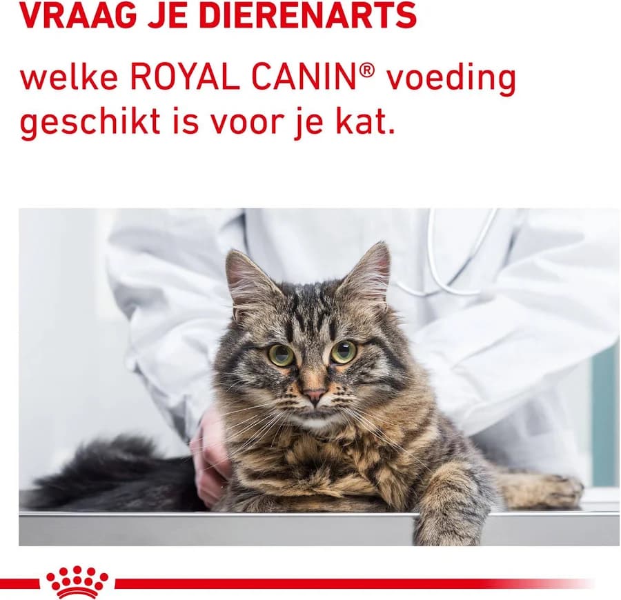 Royal Canin Neutered Satiety Balance Kısırlaştırılmış Yetişkin Kedi Maması 12 kg görsel 3
