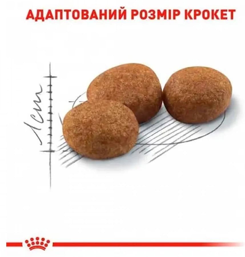 Royal Canin Neutered Satiety Balance Kısırlaştırılmış Yetişkin Kedi Maması 12 kg görsel 5