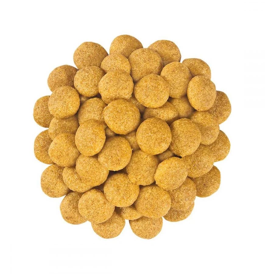 Royal Canin Urinary idrar yolu küçük ırk Köpek Maması 1,5 Kg görsel 2