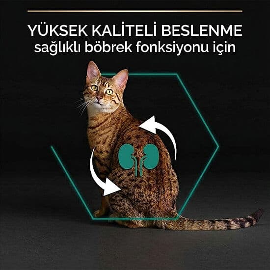 Pro Plan Kısırlaştırılmış Somon Balıklı Kedi Maması 10 Kg görsel 2