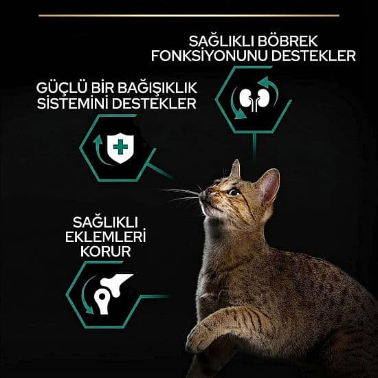 Pro Plan Kısırlaştırılmış Somon Balıklı Kedi Maması 10 Kg görsel 3