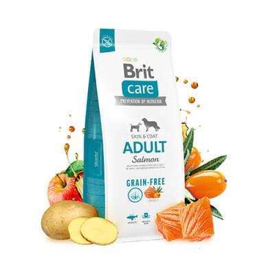 Skin Coat Somonlu Tahılsız Yetişkin Köpek Maması 12 Kg