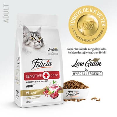 Hypoallergenic Kuzulu Düşük Tahıllı Yetişkin Kedi Maması 2 Kg