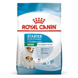 Royal Canin Mini Starter Küçük Irk Anne ve Yavru Köpek Maması 4 Kg