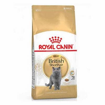 British Shorthair Adult Yetişkin Kedi Maması 4 Kg