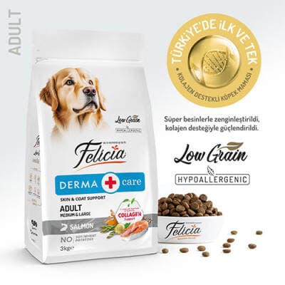 Hypoallergenic Medium Large Somonlu Düşük Tahıllı Yetişkin Köpek Maması 3 Kg