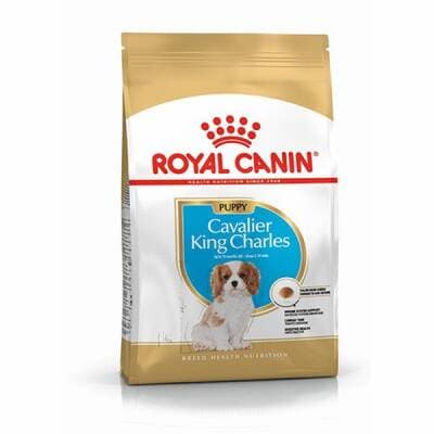 Cavalier King Charles Puppy Yavru Köpek Maması 1,5 Kg