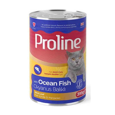 Okyanus Balıklı Pate Yetişkin Kedi Konservesi 6 Adet 395 Gr